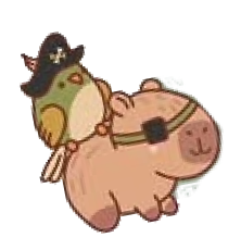 Capybara pirate